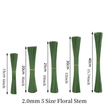 20/50/100 个花茎用于人造花铁丝棒超坚固易卷成不同形状，花茎花梗花梗用于制作 DIY 花束永恒丝丝带玫瑰装饰配件花园工具装饰情人节礼物，新年婚礼装饰，情人节，礼物 - 墨綠色 - 查看 12