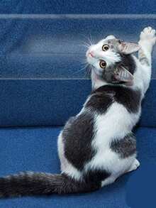 防貓抓沙發貼紙家具保護膜，透明防刮擦不殘留，無氣味寵物產品 - 無色 - 查看 2