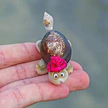 2pcs Natural Shell Conch Crafts, Creative Small Turtle Gift Decoration Ornament, Fish Tank Decoration, Underwater Landscaping Decoration - Multicolor - View 9