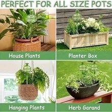 3 Gói, Quả Cầu Tưới Cây, Chậu Trồng Cây Tự Tưới Cây Xương Rồng, Thiết Bị Tưới Cây Bằng Thủy Tinh Cho Phụ Kiện Cây Trong Nhà Và Ngoài Trời - màu xanh lá - Xem 7