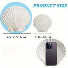 5pcs Shells For Crafts 4''-5'' White Scallop Shells, For Baking Shells, Crafts DIY Painting Beaching Wedding Decoration, Beach Scallop Shells Bulk Best Gifts Birthday Graduation - 5pcs - View 11