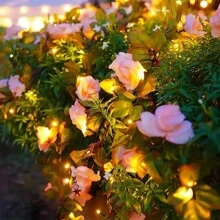 1pc 2m/78.7in Solar Powered Artificial Rose Decorative String Light, Solar Flower String Light, Atmospheric Artificial Flower Vine, For Home, Bedroom, Party, Holiday, Wedding, Christmas, Yard, Gifts, New Year, Birthday, Valentine's Day. All-Season Decorations.