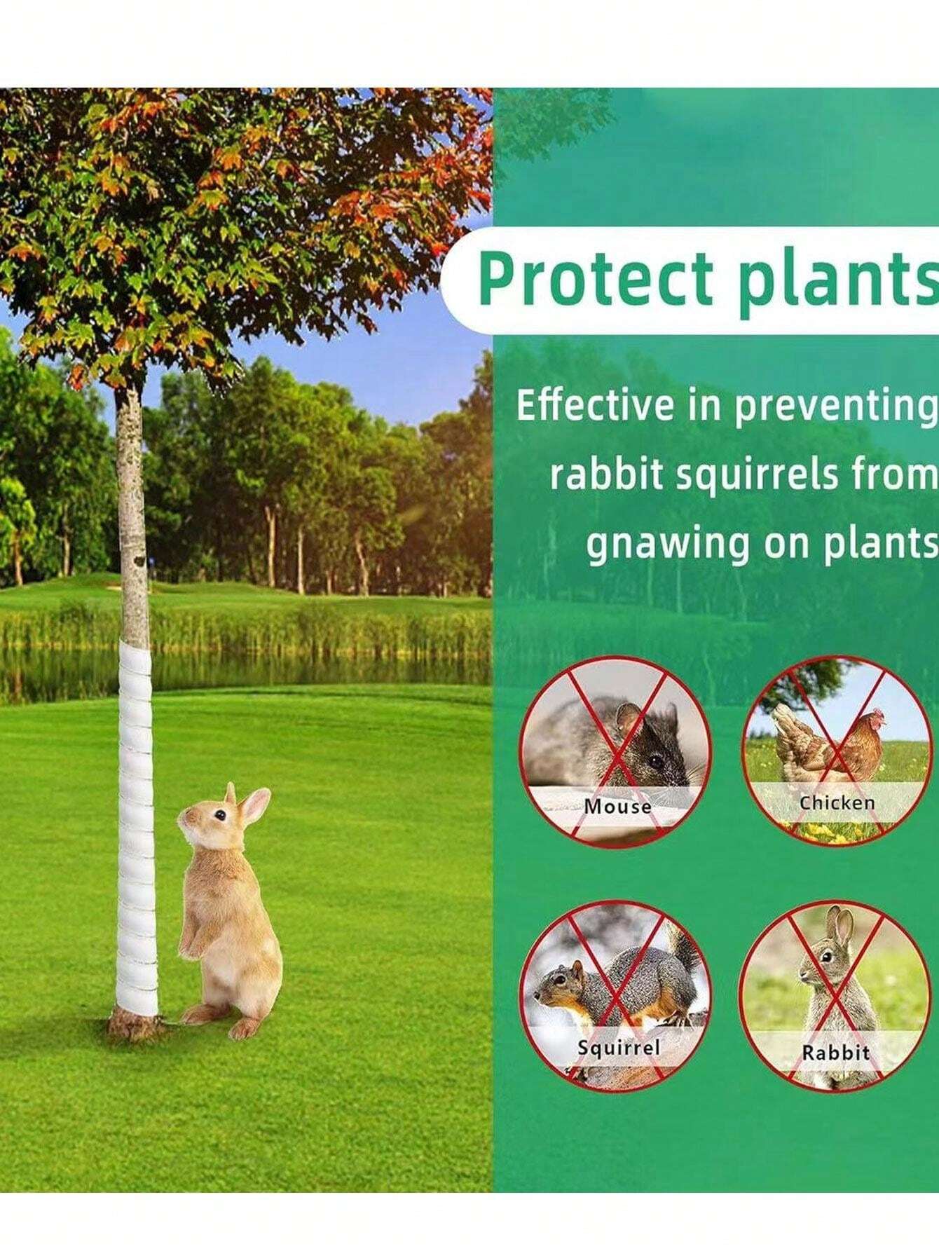 Plastic Spiral Tree Guard For Protecting Tree Trunks From Squirrels ...