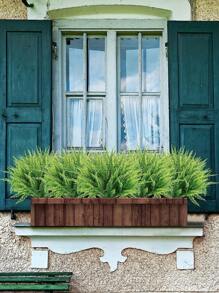 2/6/12pcs Artificial Plant Green Seven-Fork Equisetum, Artificial Fern Vertical Plant, Wall Decor Greenery, Front Door & Yard Decor, Flower Bed & Garden Path Decor, Summer Party Decor, Backyard Decoration