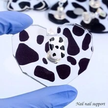 1 Miếng Thực Hành Làm Móng Khay Thực Hành Làm Móng Đứng Sơn Móng Tay Bò Thực Hành Làm Móng Tay Khay Bảng Màu Móng Tay Hiển Thị Đế Móng Tay nghệ Thuật Thực Hành Móng Tay Giả Đế (Có Nhiều Hình Dạng/Đóng Gói Ngẫu Nhiên) - Nhiều màu - Xem 12