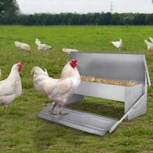 LILIIN Chicken Feeder 5kg/10kg Poultry Feeder With Rat-Proof Feet, Weatherproof Lid Made Of Galvanized Steel, Feed Trough For Chickens, Ducks, Geese - Silver - View 3