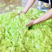 100 sztuk świecących gwiazdek naklejek ściennych dla dzieci/niemowląt sypialnia salon sofa świecące w ciemności dekoracje pokoju samoprzylepne fluorescencyjne naklejki ścienne baby shower dekoracje rodzinne prezenty