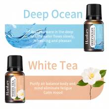 8 pcs Aceites Esenciales de Aromaterapia,100% Natural de Aceite Esencial Conjunto, Apta para Difusores y Humidificadores, para hacer Velas Aromaticas y Jabón, con Caja de Regalo Exquisita - Más - Ver 5