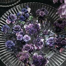 CANDY POETRY 1 Gói/40 Miếng Dán Tài Khoản Bàn Tay Thẩm Mỹ Retro Với Chủ Đề Hoa Hồng, Chất Liệu Cắt Dán Và Trang Trí DIY Cho Sổ Lưu Niệm Và Đồ Dùng Văn Phòng Phẩm Trường Học, Quà Tặng Lễ Hội - Xem 6
