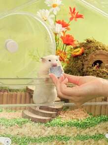 6 piezas de piedras cuadradas para roer de hámsteres, mascotas para conejos, cobayas, gatos, suministros para animales pequeños