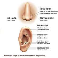 4pcs Nose Rings Hoops - 316L Surgical Steel Double Hoop Nose Rings 16G/18G/20G Hinged CZ Conch Piercing Jewelry Septum Clicker Lip Rings Cartilage Earring Helix Rook Tragus Daith 6mm/8mm/9mm/10mm - Antique Silver - View 6