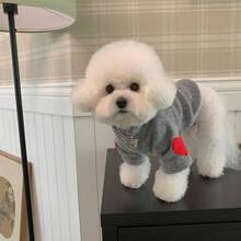 情人節春秋季小型/中型寵物心型連帽衛衣黑米灰時尚2024新款寵物情侶裝 - 灰色 - 查看 8