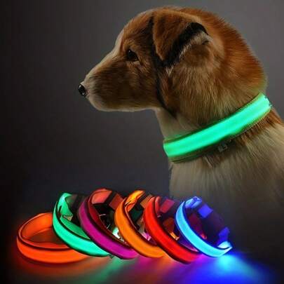 New LED Pet Collar, Luminous Collar (Size Runs Large, Recommend Ordering One Size Down)
