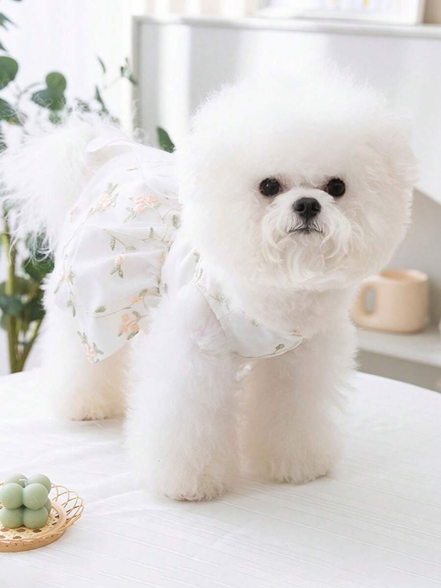 1pc Cute Dog Or Cat Princess Dress With Bow Knot For Spring/Summer, Pet Thin Tutu Skirt - White - View 1