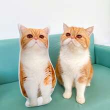 Customizable Cat Photo Pillow DIY Pet Memorial Gift 3D Animal Image Pillow Personalized Lost Dog Gift Dog Photo Cushion Funny, Cute Customized, Unique, Personalized Ideal Gift - White - View 2