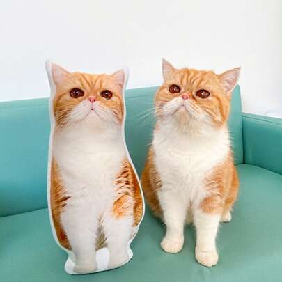 Customizable Cat Photo Pillow DIY Pet Memorial Gift 3D Animal Image Pillow Personalized Lost Dog Gift Dog Photo Cushion Funny, Cute Customized, Unique, Personalized Ideal Gift