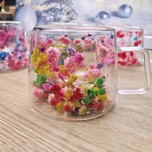 1 pièce Mug double paroi 200 ml, tasse à fleurs séchées, tasse à café, tasse à thé au lait, tasse à Américano glacé, verre, résistant à la chaleur, verre transparent en borosilicate haute qualité. Grand design floral, sensation de main confortable. Convient pour une utilisation en hiver et en été. Excellent cadeau pour un couple, un ami, la famille, un anniversaire, des vacances, des accessoires de cuisine - Transparent - Voir 7