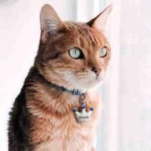 1入量身定制的頂冠形寵物標籤，適用於貓狗，具有寵物名字和ID標籤，時尚耐用的寵物吊墜配備鈴鐺