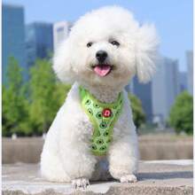 Lindo conjunto de arnés y correa para mascotas, correa para caminar al aire libre para perros pequeños, correa anti-escape para gatos, chaleco ajustable para gatos