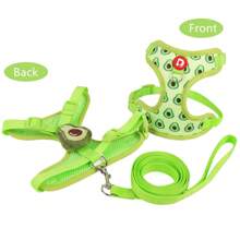 Lindo conjunto de arnés y correa para mascotas, correa para caminar al aire libre para perros pequeños, correa anti-escape para gatos, chaleco ajustable para gatos