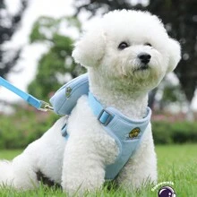 1 Bộ Dây Kéo Họa Tiết Spaceman Cho Chó Có Thể Điều Chỉnh Ba Lô Thú Cưng Poodle Bixiong Dây Kéo Dây Đeo Ngực Dây Đeo Cổ Áo Dây Nịt Và Dây Xích Phụ Kiện Cho Chó - Nhiều màu - Xem 7