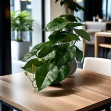 1個人工掛著的常青藤葉子盆栽植物 - 彩色 - 查看 5