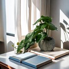 1個人工掛著的常青藤葉子盆栽植物 - 彩色 - 查看 8