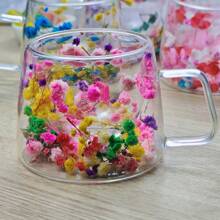1 pièce Mug double paroi 200 ml, tasse à fleurs séchées, tasse à café, tasse à thé au lait, tasse à Américano glacé, verre, résistant à la chaleur, verre transparent en borosilicate haute qualité. Grand design floral, sensation de main confortable. Convient pour une utilisation en hiver et en été. Excellent cadeau pour un couple, un ami, la famille, un anniversaire, des vacances, des accessoires de cuisine - Transparent - Voir 6