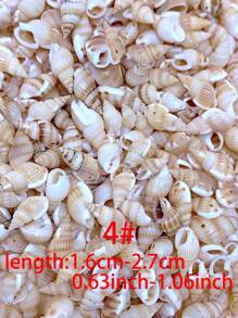 30/60/120pcs Creative Fashionable DIY Natural Shell Pendant (With Hole) Set, Including Various Types Of Shell & Conch Pendant For Making Bracelets, Necklaces, Beaded Jewelry, Beach Vacation Style Accessories