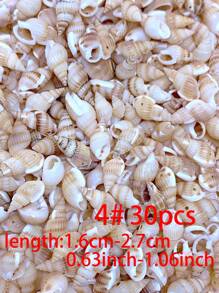 30/60/120pcs Creative Fashionable DIY Natural Shell Pendant (With Hole) Set, Including Various Types Of Shell & Conch Pendant For Making Bracelets, Necklaces, Beaded Jewelry, Beach Vacation Style Accessories
