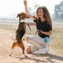 1pc Silicone Dog Training Waist Bag Treat Pouch For Pets, Professional Trainer Equipment, Walking Accessories - Green - View 7