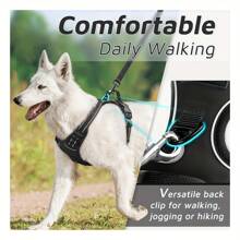 BVEOYPET 2pcs Reflective Dog Harness And 1.5m Leash Set, Breathable Pet Chest Strap Harness Suitable For Small, Medium And Large Dogs, Puppies, Cats, Dog Walking Leash And Harness Accessory Set - Hot Pink - View 5