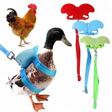 1pc Pet Harness Leash With Angel Wings For Hamsters, Rabbits, Chickens, And Ducks - Multicolor - View 13
