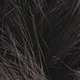Black-brown