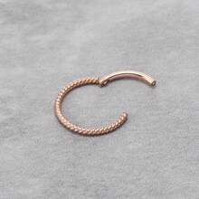 1PC Titan Không Gây Dị Ứng Vòng Mũi Vòng Bản Lề Mũi Vòng Vách Ngăn Vòng Không Gây Dị Ứng Ốc Xà Cừ Daith Vòng Xoắn Vòng Rook Tragus Vòng Mũi Vòng 16G 10mm Trang Sức Khuyên Môi Nhẫn Dành Cho Nữ Bông Tai Sụn Clicker Mạ Vàng Đen Vòng Mũi Quà Tặng Cho Phụ Nữ Mẹ - xoắn - Xem 8