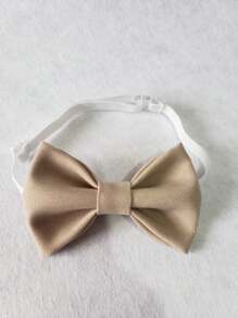 Kids Belts & Suspenders - 米色 - 查看 2