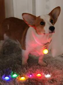 1 Piece Of Random Color Led Light-emitting Pet Pendant, Two Light-emitting Modes: Steady Light/quick Flash/off, Suitable For Cat And Dog Pendants, Night Reminder