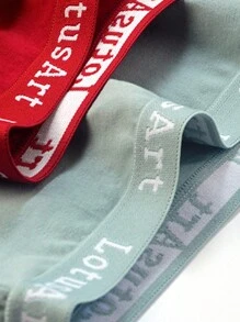 6 件装 女士高腰字母印花三角裤 舒适透气日常内裤 黑色 - 彩色 - 查看 4