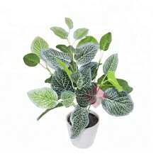 Artificial Plants - 綠色 - 查看 2
