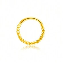 1PC Titan Không Gây Dị Ứng Vòng Mũi Vòng Bản Lề Mũi Vòng Vách Ngăn Vòng Không Gây Dị Ứng Ốc Xà Cừ Daith Vòng Xoắn Vòng Rook Tragus Vòng Mũi Vòng 16G 10mm Trang Sức Khuyên Môi Nhẫn Dành Cho Nữ Bông Tai Sụn Clicker Mạ Vàng Đen Vòng Mũi Quà Tặng Cho Phụ Nữ Mẹ - xoắn - Xem 13