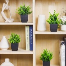 Plantas Artificiales - Negro - Ver 5