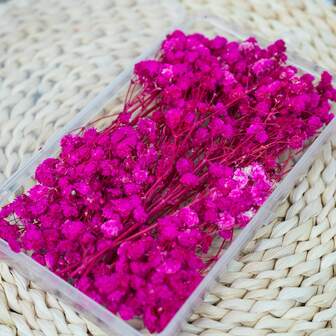 1 Box Of Dried Flower Bouquet Set, Multi-Color Option,Made From Real Naturally Dried And Pressed Flowers, Leaves, And Plant Stems, Perfect For DIY Crafts, Scrapbooking, Candle Making, And Wedding/Home Party Decorations