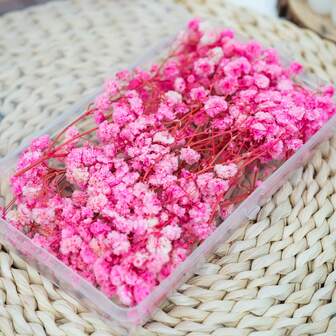 1 låda med torkade blombuketter, flerfärgade alternativ, tillverkade av riktiga naturligt torkade och pressade blommor, blad och växtstjälkar, perfekt för gör-det-själv-pyssel, scrapbooking, ljustillverkning och bröllops-/hemfestdekorationer