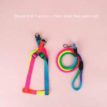 Ensemble harnais et laisse pour chiens et chats, forme ronde et colorée arc-en-ciel - Multicolore - Voir 4