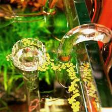Clear Glass Lily Pipe Outflow And Skimmer Inflow With Suction Cup 13mm 17mm For Aquarium Planted Fish Tank Aquatic Filter System - Clear - View 9