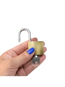 Anti-Theft Lock - Vàng - Xem 4