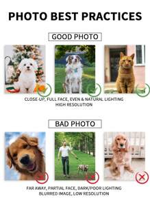 1pc Framed Personalised Pet Portrait, Custom Pet Portrait From Photo, Custom Cat Portrait, Custom Dog Portrait, Pet Memorial Ideas, Perfect Gift And Decoration, Pet Art Ornamental Exquisite, Stylish, For Anniversaries, For Valentine's Day, For Mother's Day, For Birthdays, For Children's Day, For Graduation, For Weddings, For Housewarming Dining Room, Living Room, Bedroom, Office, Tea Room, Home, Valentine Day, Valentine Day Decor Gifts, Slow Summer Living, Customized Wall Art, Chic Autumn