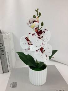 Artificial Butterfly Orchid Potted Plant With White Porcelain Vase, Home Decoration Ornament,Christmas