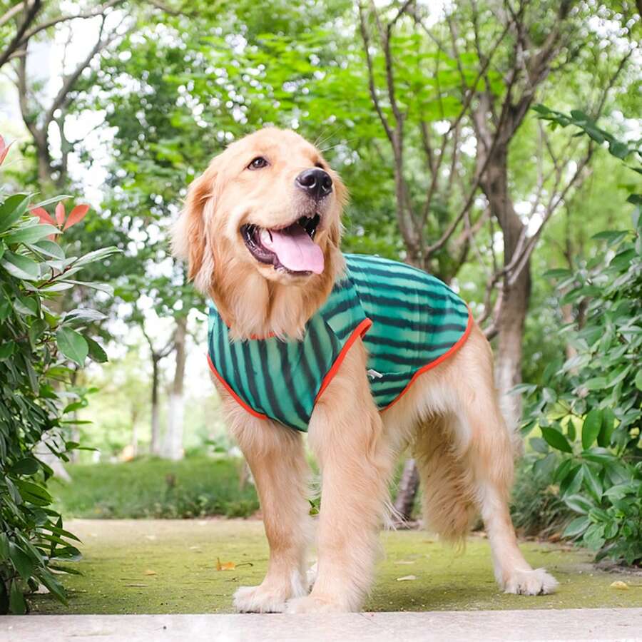 西瓜紅透氣大型犬服裝，拼色縫合防脫短袖夏季狗服 - 彩色 - 查看 1