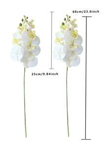 Múltiples tipos de flores blancas disponibles para ramo de bodas DIY, decoración del hogar, oficina o dormitorio, eventos de fiesta o centros de mesa como rosas blancas, lirios, aliento de bebé, tulipanes y orquídeas. Ideal para arreglos de bodas. - Multicolor - Ver 15